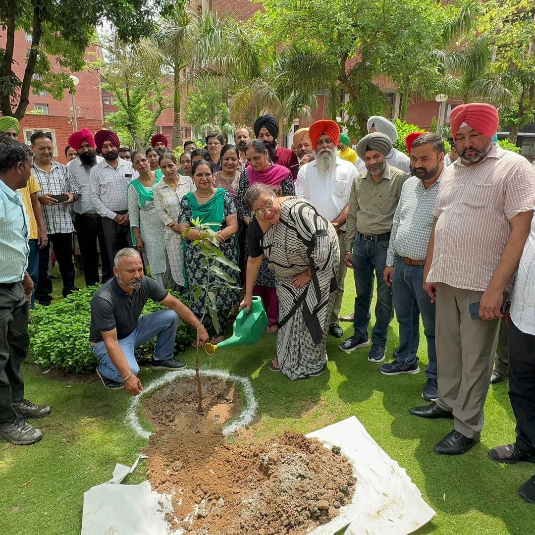 ਪੰਜਾਬ ਸਕੂਲ ਸਿੱਖਿਆ ਬੋਰਡ ਵੱਲੋਂ ਪੌਦੇ ਲਗਾਉਣ ਦੀ ਮੁਹਿੰਮ 2024 ਦੀ ਸ਼ੁਰੂਆਤ 
 15000 🌳🌳🌳🌳

Punjab school education board begins plantation drive 2024 
15000 🌳🌳🌳🌳